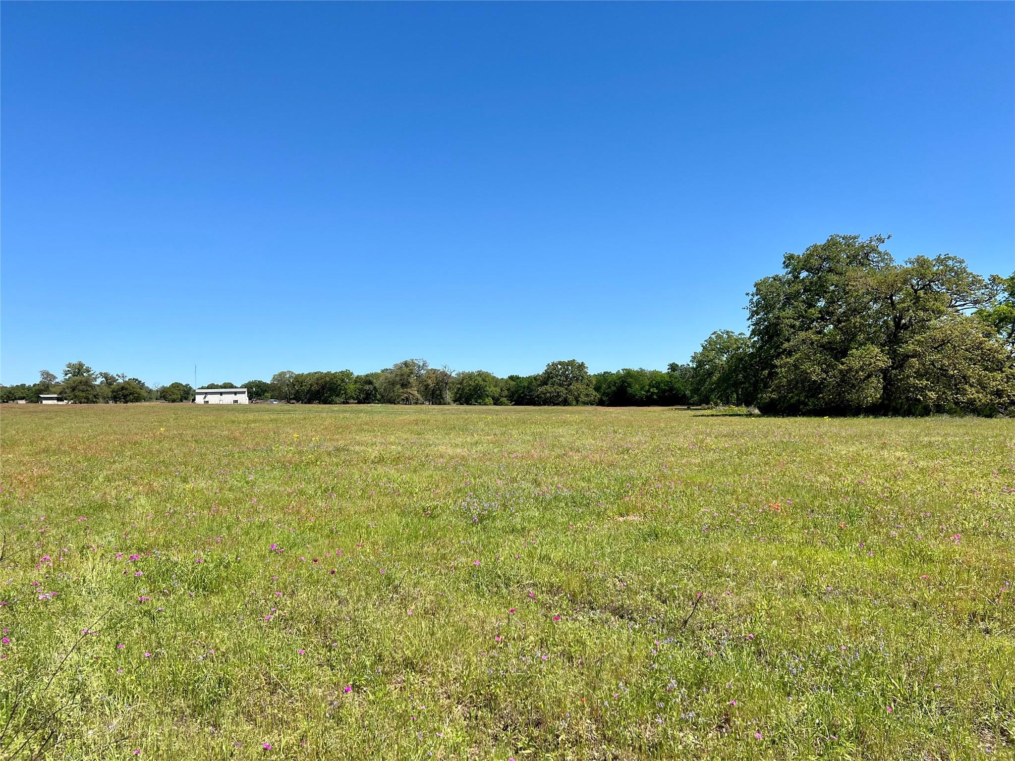2542 County Road 306 Lexington TX 78947