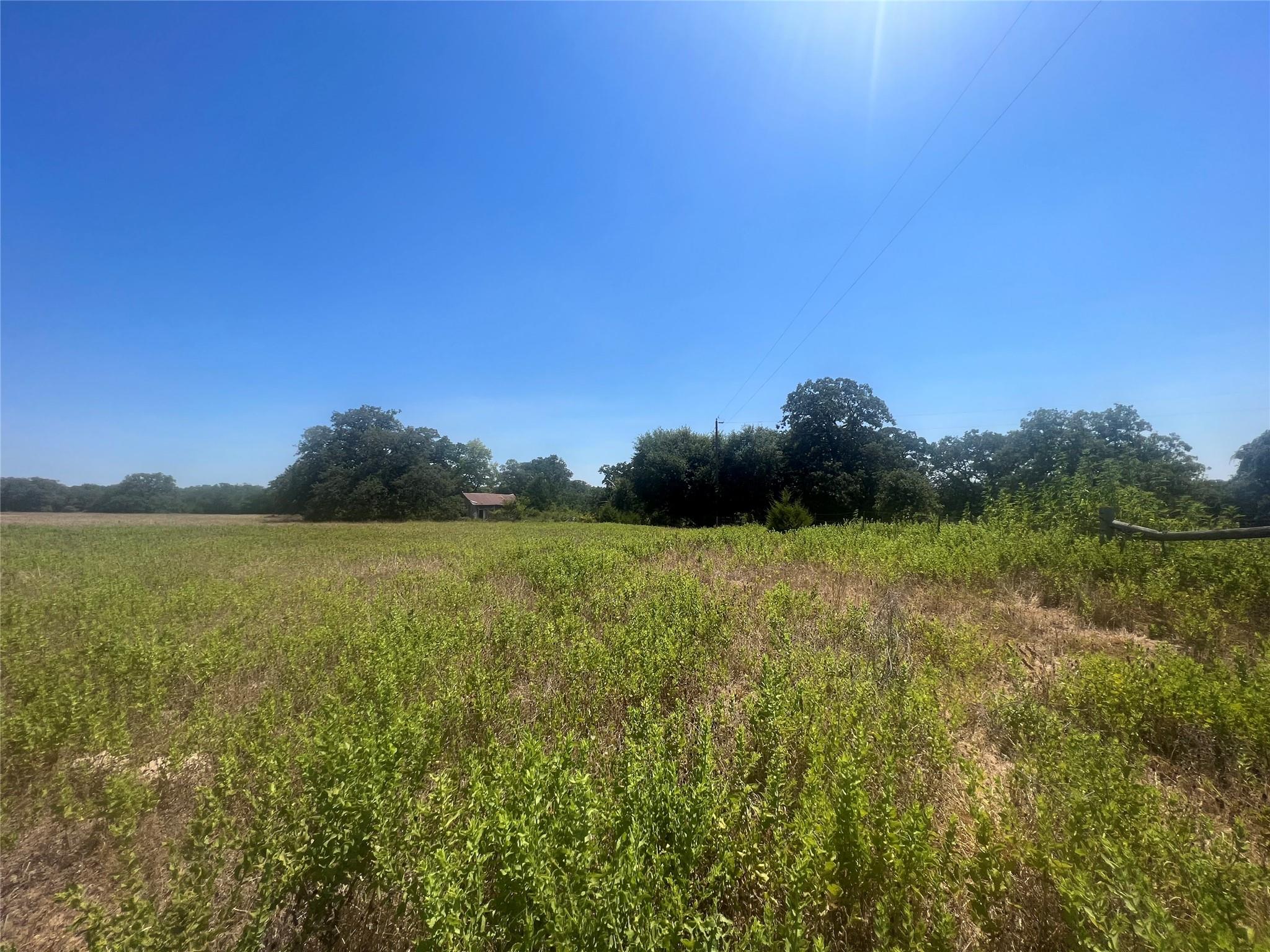 2542 County Road 306 Lexington TX 78947