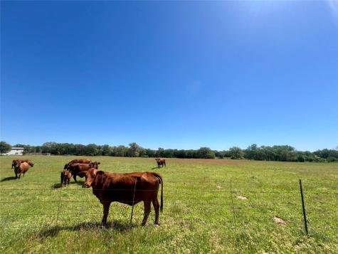 2542 County Road 306 Lexington TX 78947