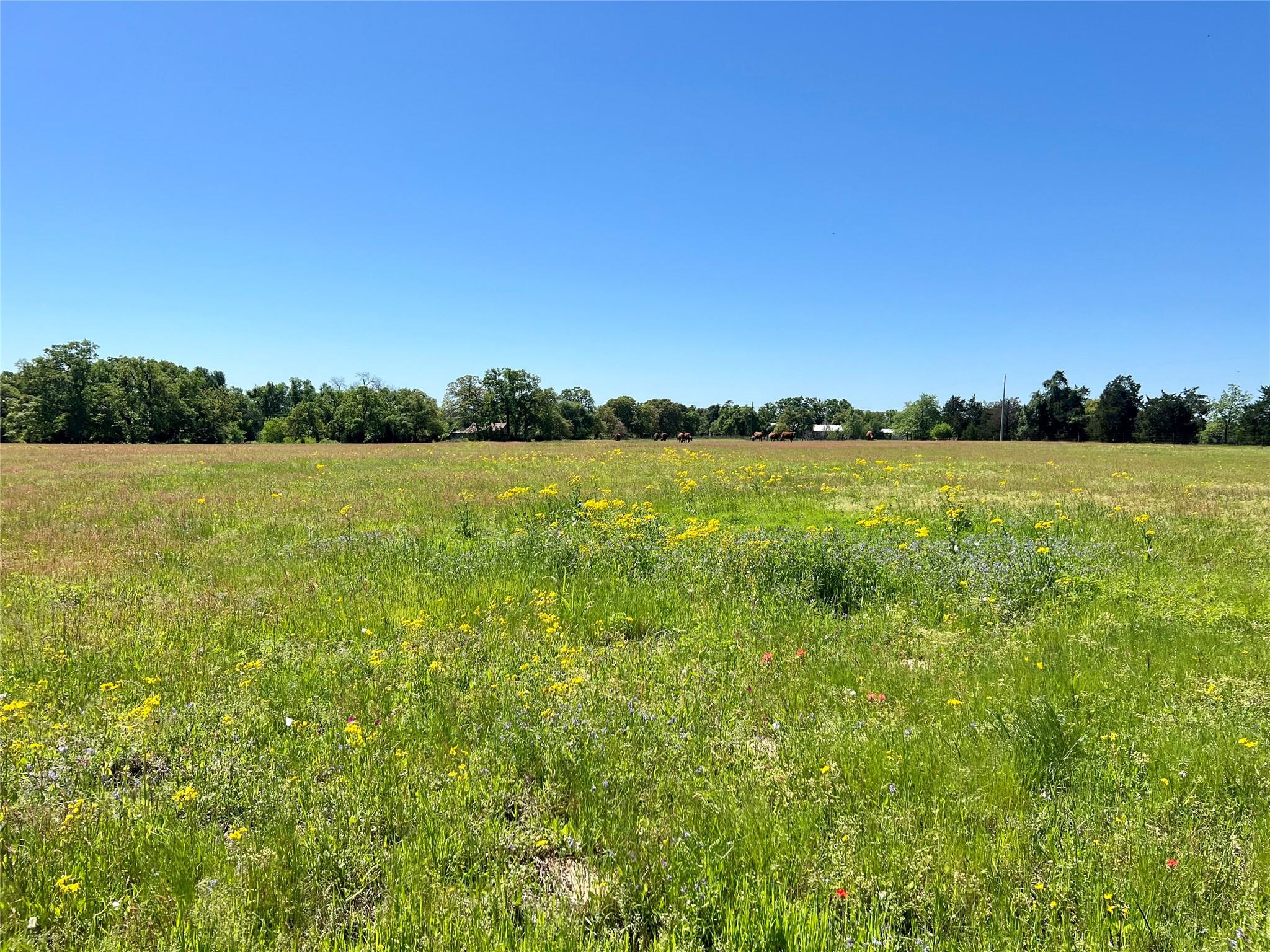 2542 County Road 306 Lexington TX 78947