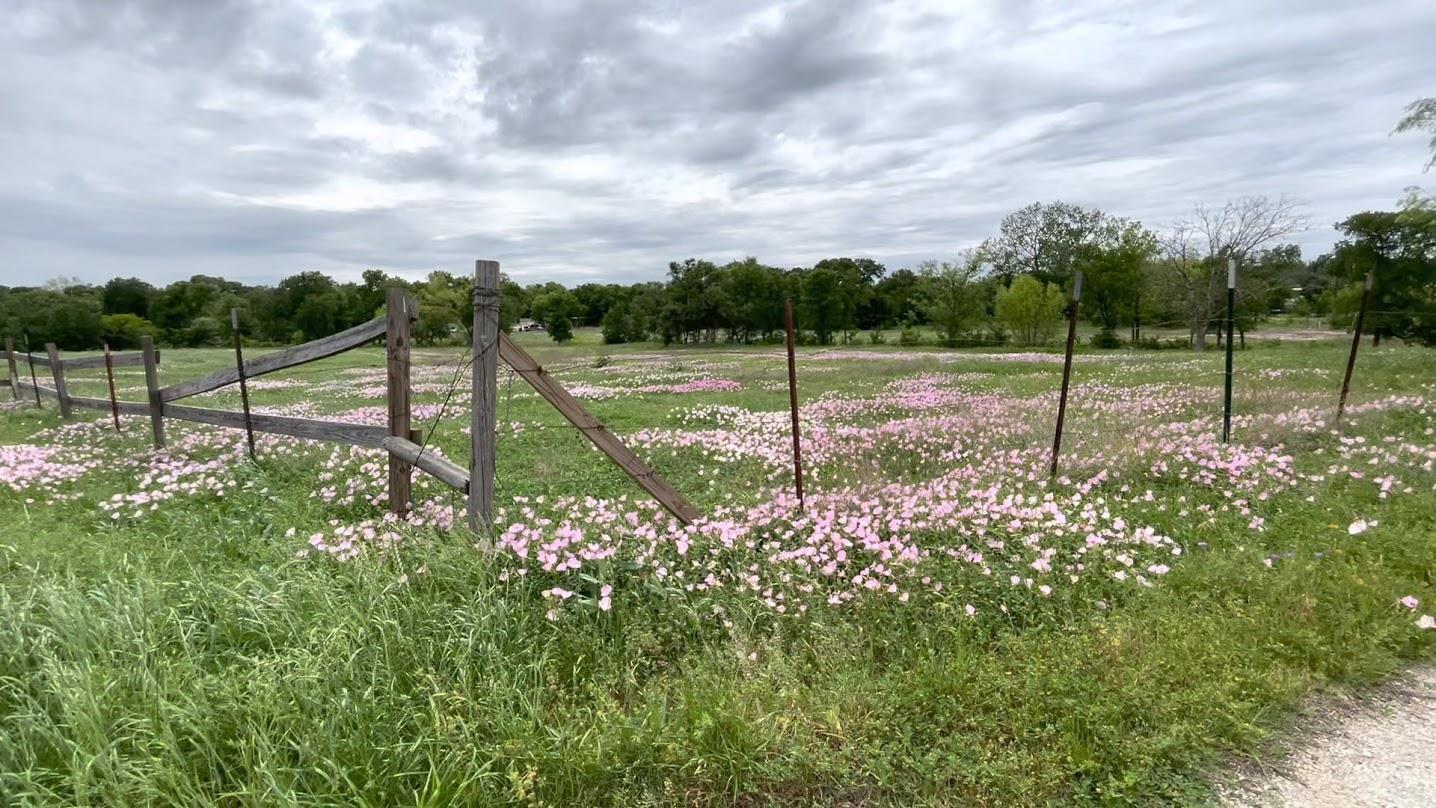 5001 Blue Bluff Road Austin TX 78724