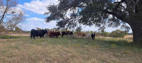 3432 County Road 206 Road N Cameron TX 76520