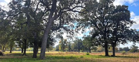 3432 County Road 206 Road N Cameron TX 76520
