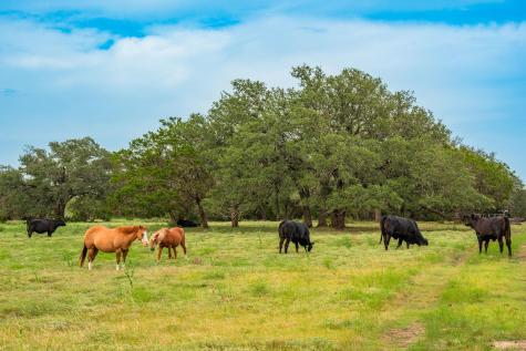 00 County Road 284 Liberty Hill TX 78642
