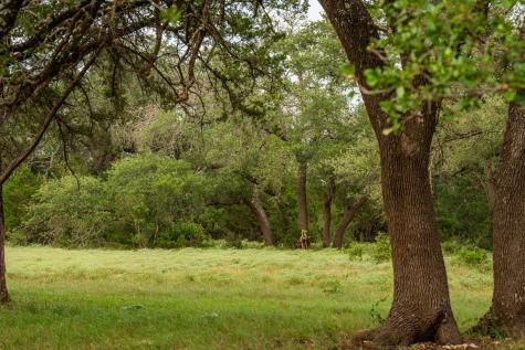 00 County Road 284 Liberty Hill TX 78642