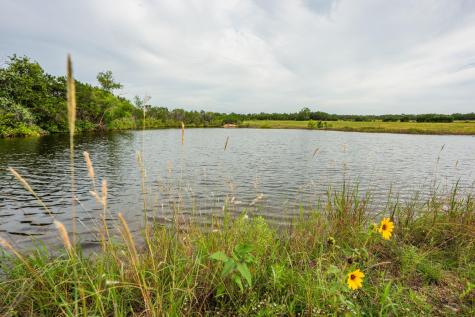 00 County Road 284 Liberty Hill TX 78642