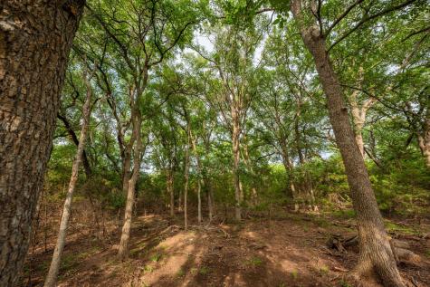 00 County Road 284 Liberty Hill TX 78642