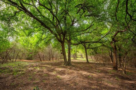 00 County Road 284 Liberty Hill TX 78642