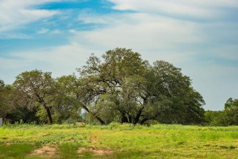 00 County Road 284 Liberty Hill TX 78642