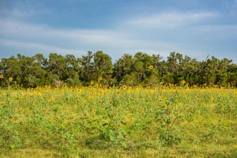 00 County Road 284 Liberty Hill TX 78642