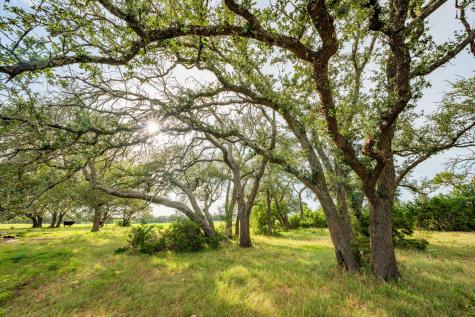 00 County Road 284 Liberty Hill TX 78642