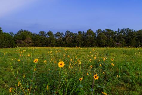 00 County Road 284 Liberty Hill TX 78642