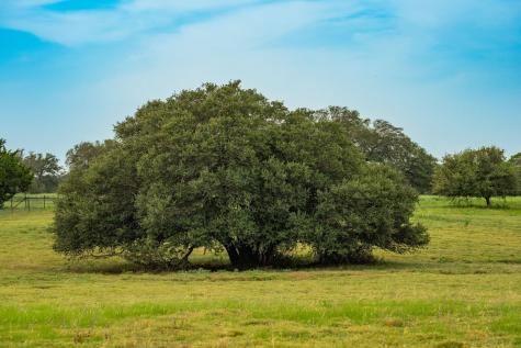 00 County Road 284 Liberty Hill TX 78642