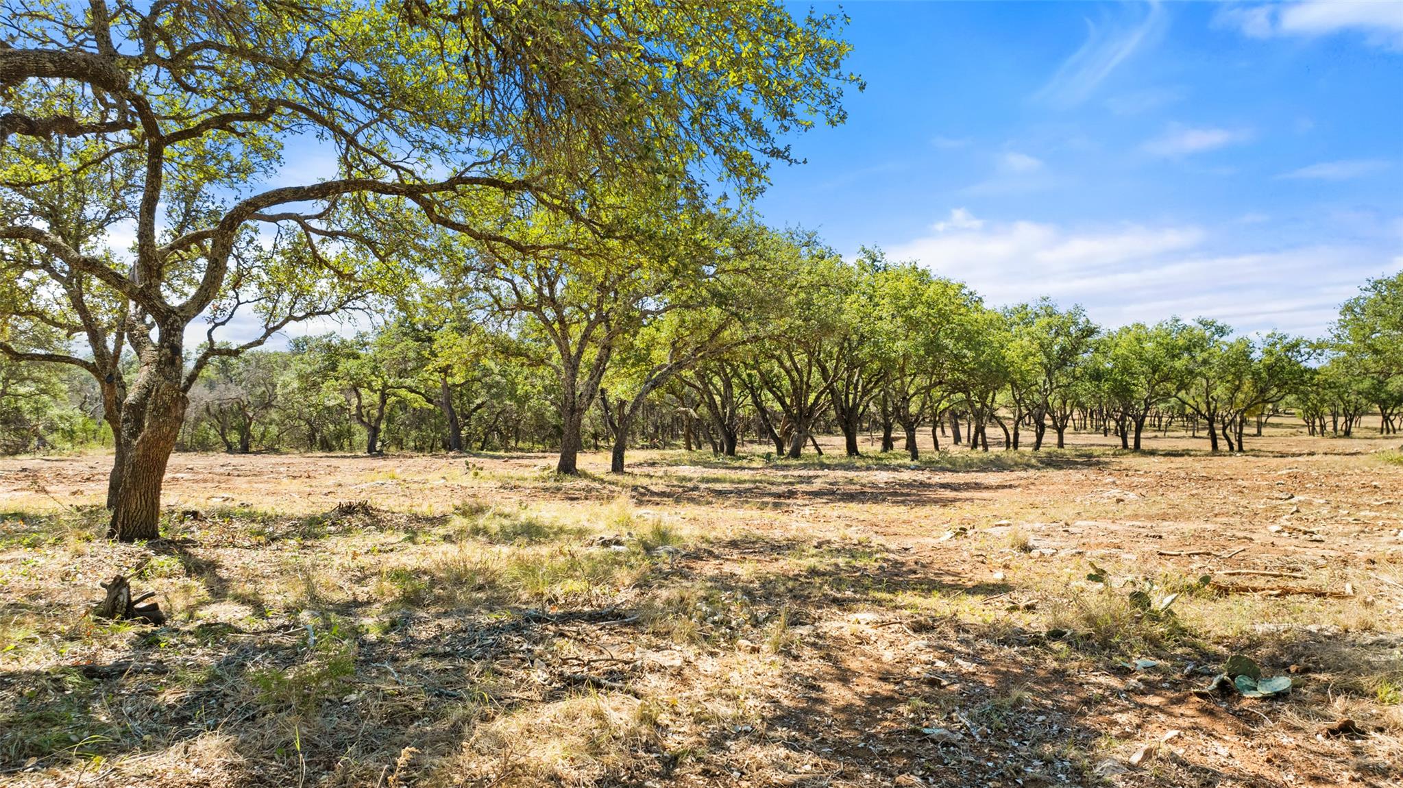 2560 Towhead Valley Road Johnson City TX 78636