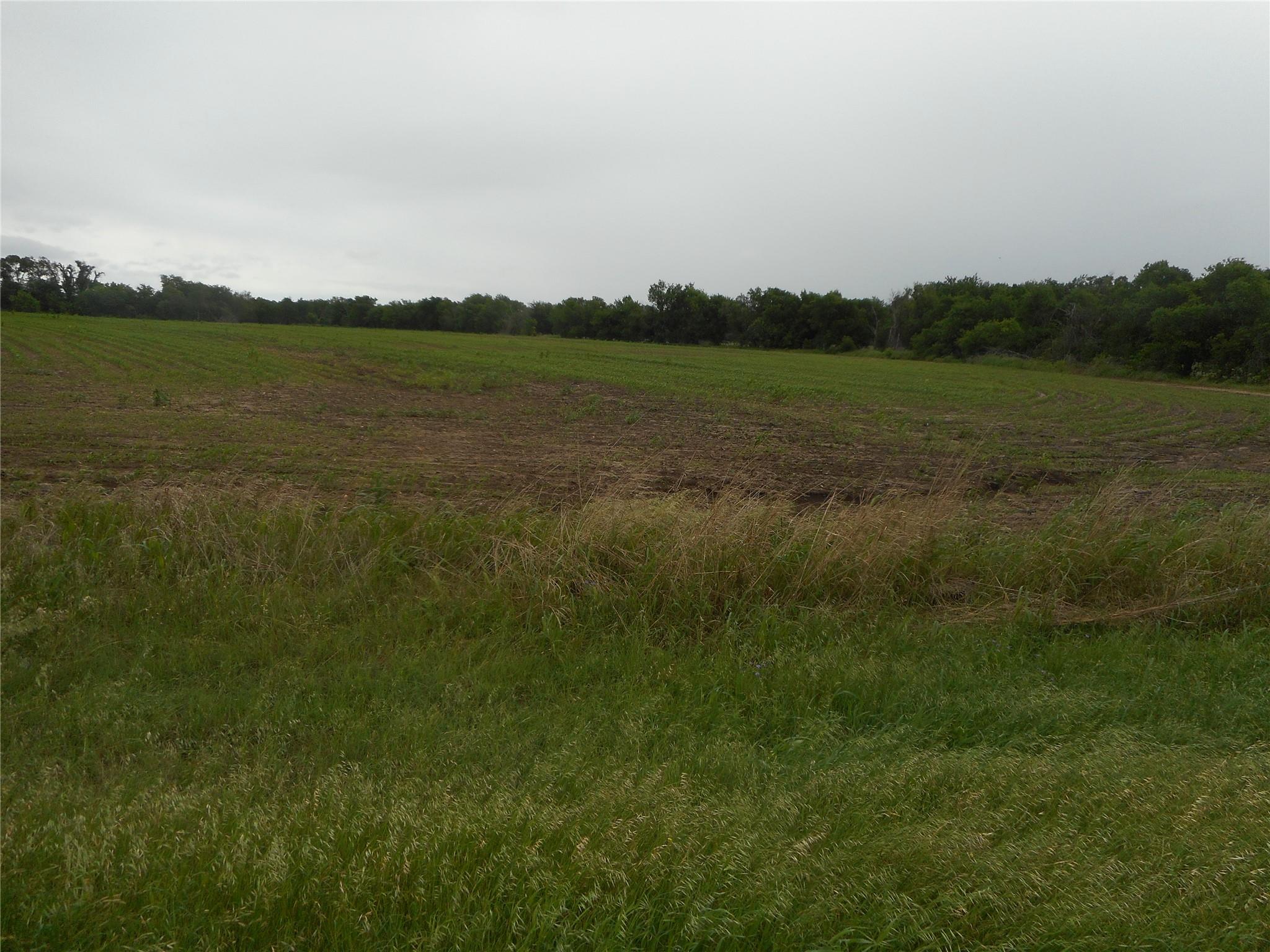 Tbd N Fm 619 Road Taylor TX 76574
