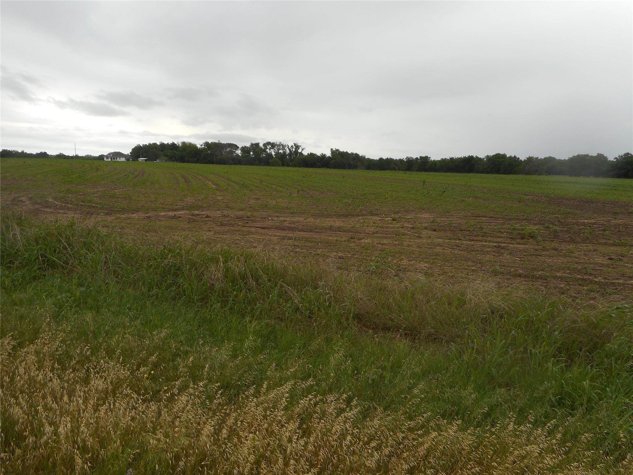 Tbd N Fm 619 Road Taylor TX 76574