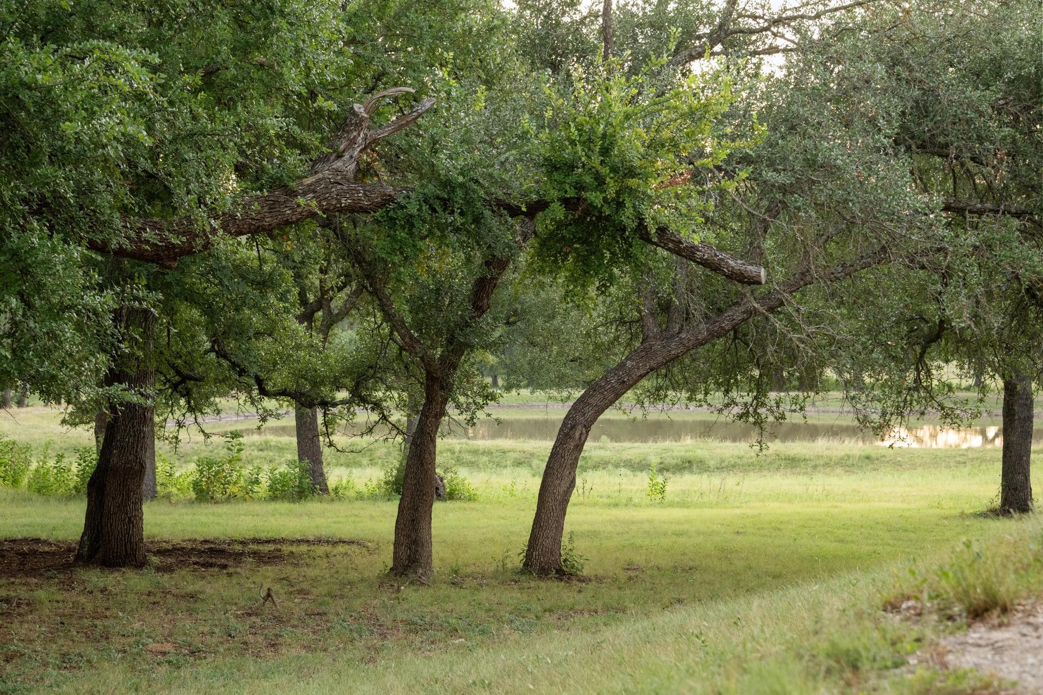 5200 Bell Springs Road Dripping Springs TX 78620