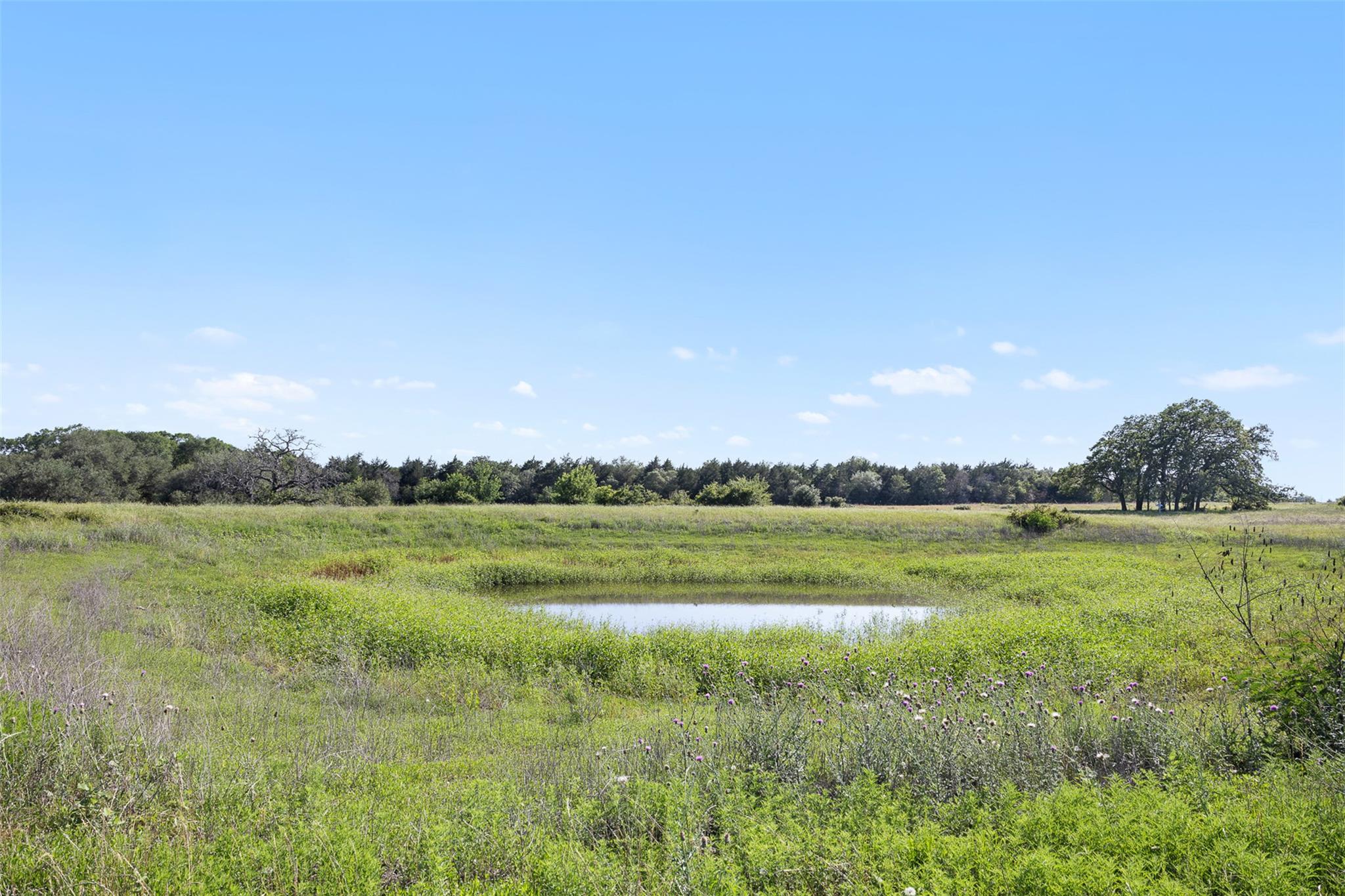 1310 N Nassau Road Round Top TX 78954