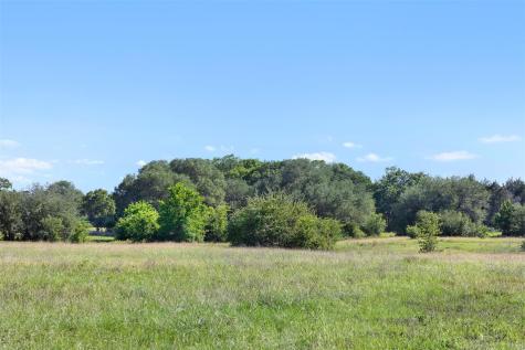 1310 N Nassau Road Round Top TX 78954