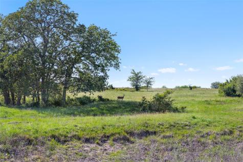 1310 N Nassau Road Round Top TX 78954