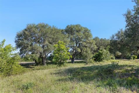 1310 N Nassau Road Round Top TX 78954