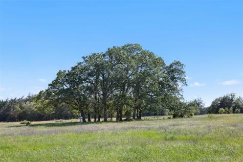 1310 N Nassau Road Round Top TX 78954
