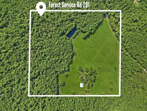00 Forest Service Road 201 Coldspring TX 77328