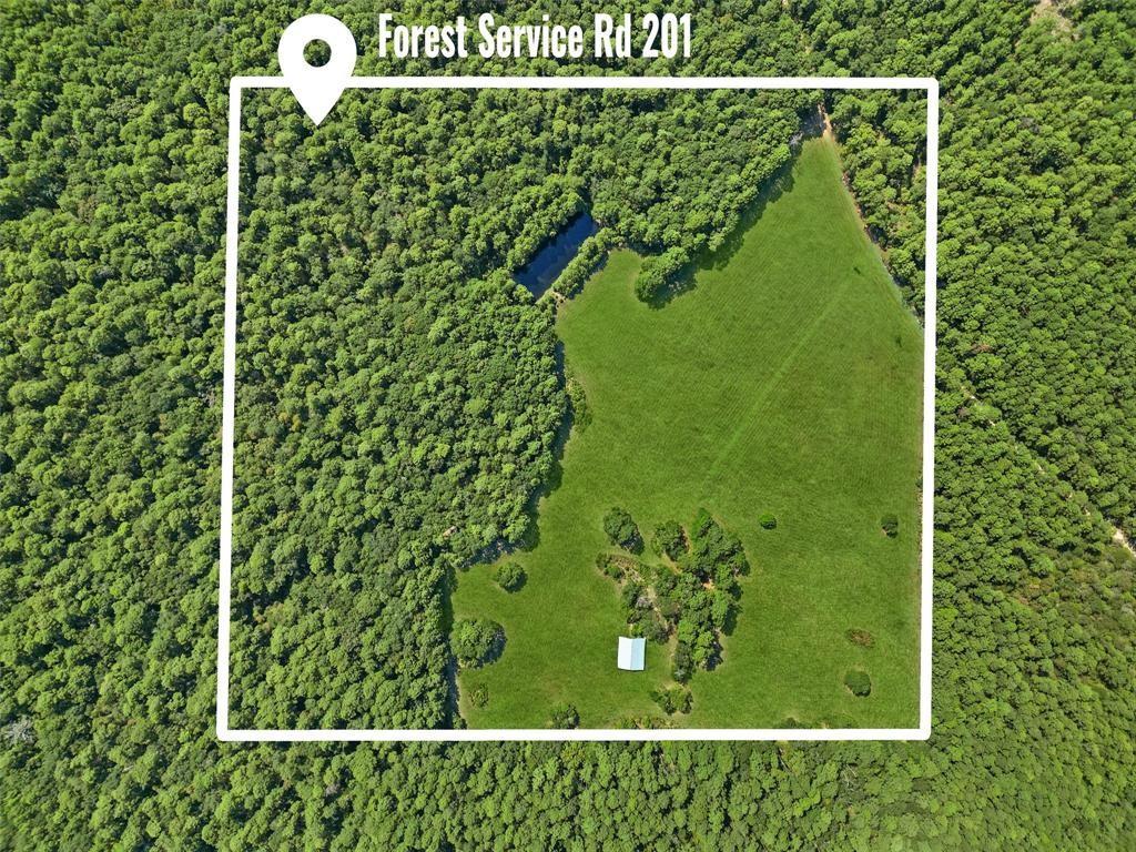 00 Forest Service Road 201 Coldspring TX 77328