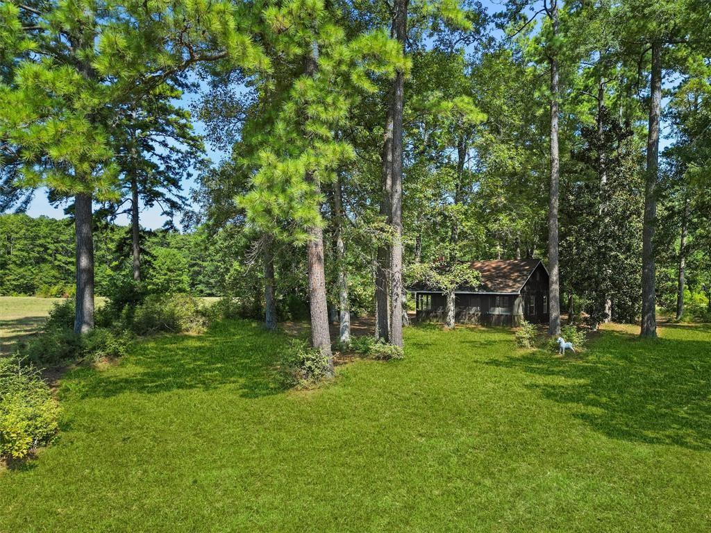 00 Forest Service Road 201 Coldspring TX 77328