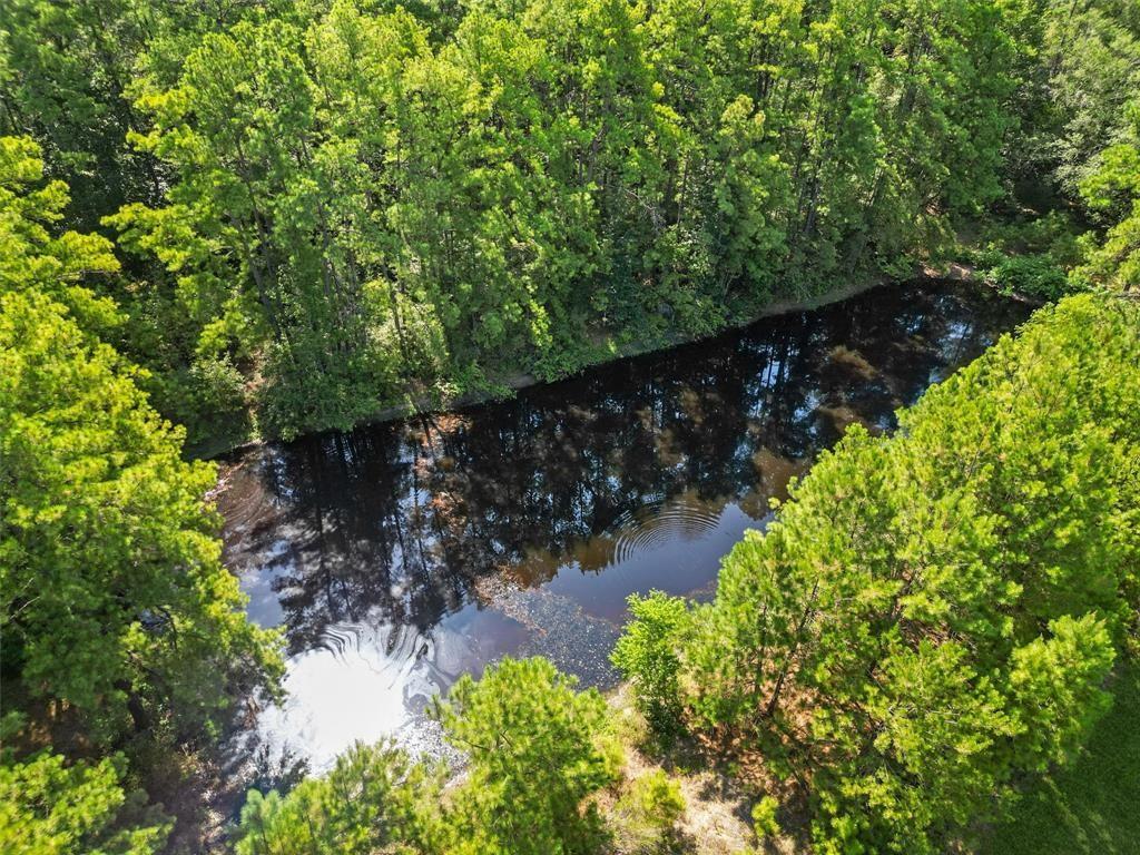 00 Forest Service Road 201 Coldspring TX 77328