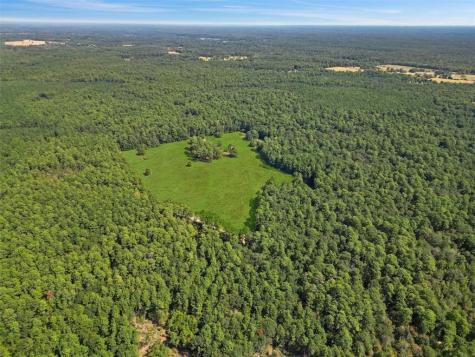 00 Forest Service Road 201 Coldspring TX 77328