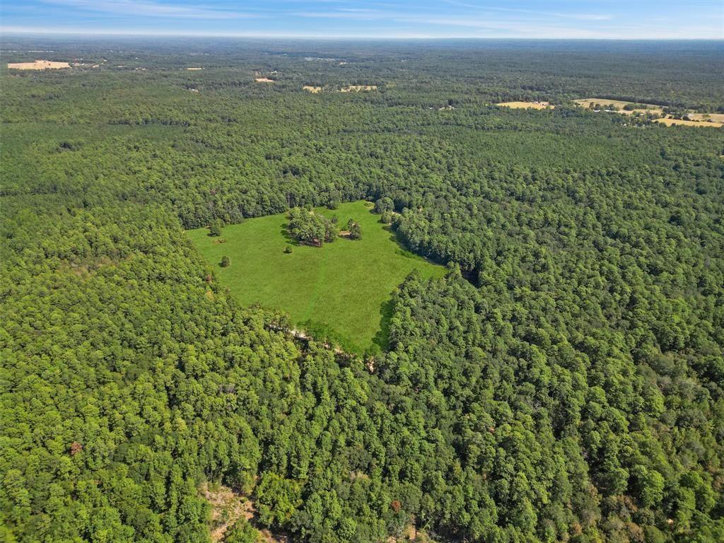 00 Forest Service Road 201 Coldspring TX 77328