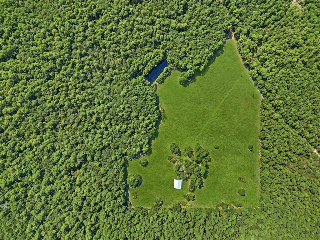 00 Forest Service Road 201 Coldspring TX 77328