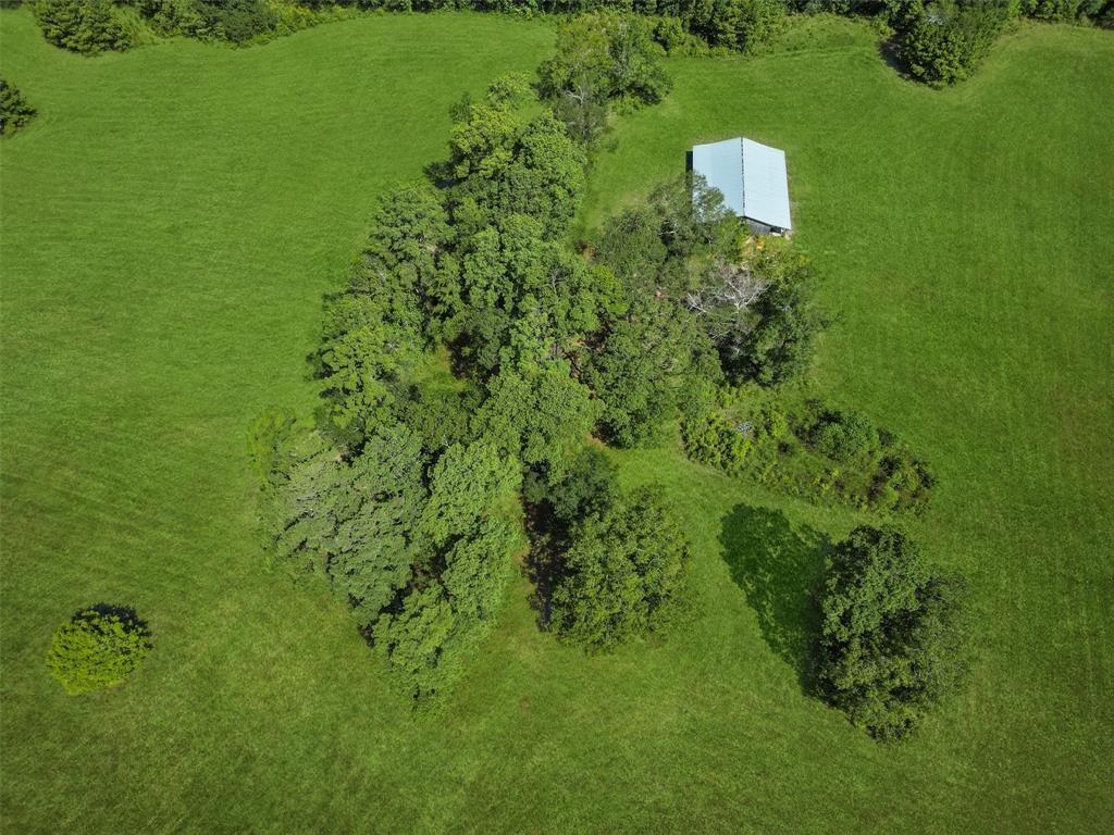 00 Forest Service Road 201 Coldspring TX 77328