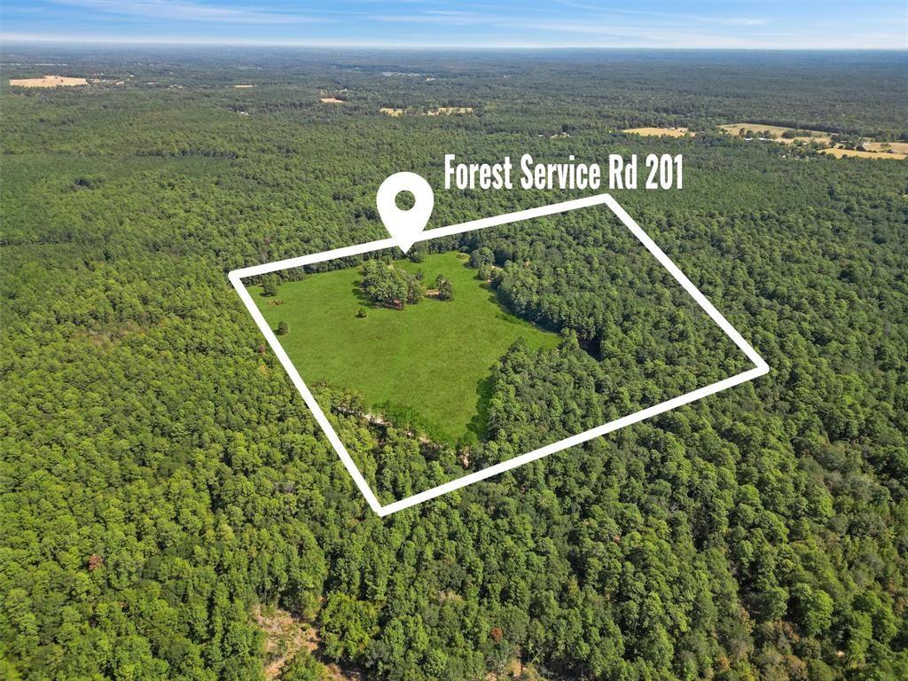 00 Forest Service Road 201 Coldspring TX 77328