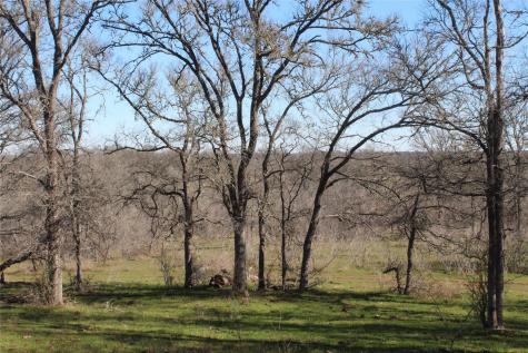 1223 County Road 429 Dime Box TX 77853