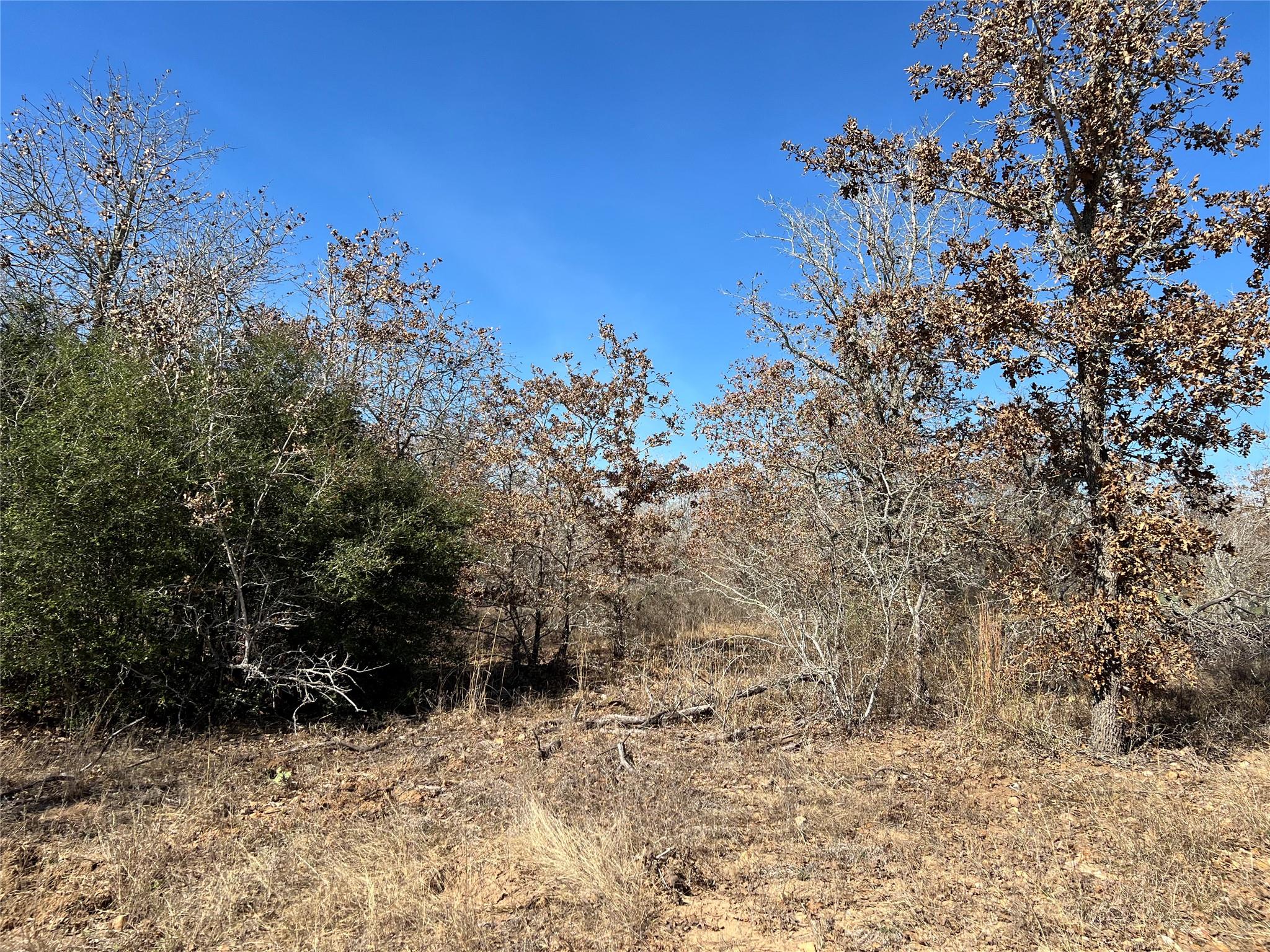 - S Highway 183 Lockhart TX 78640
