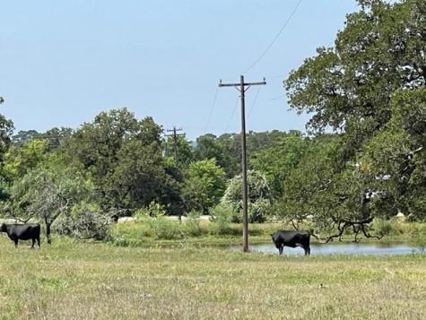 1583 S Us Highway 77 Highway Giddings TX 78942