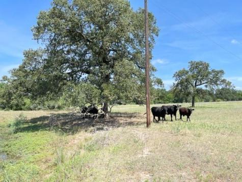1583 S Us Highway 77 Highway Giddings TX 78942