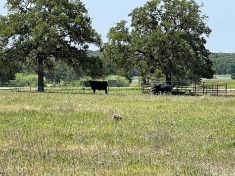 1583 S Us Highway 77 Highway Giddings TX 78942