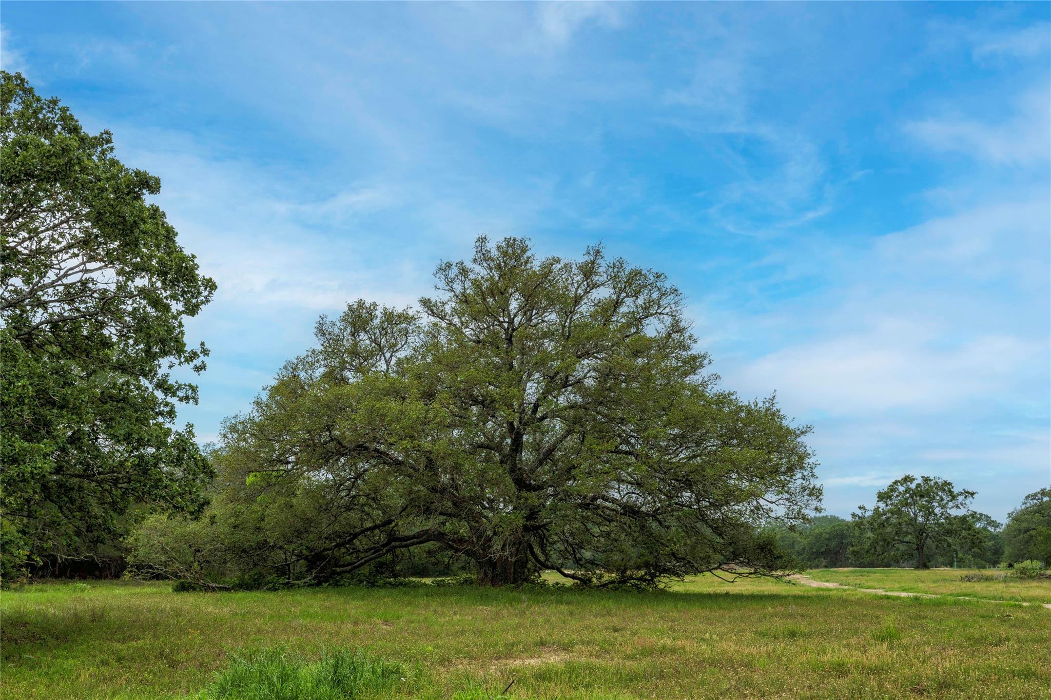 2570 Burke Road Flatonia TX 78941