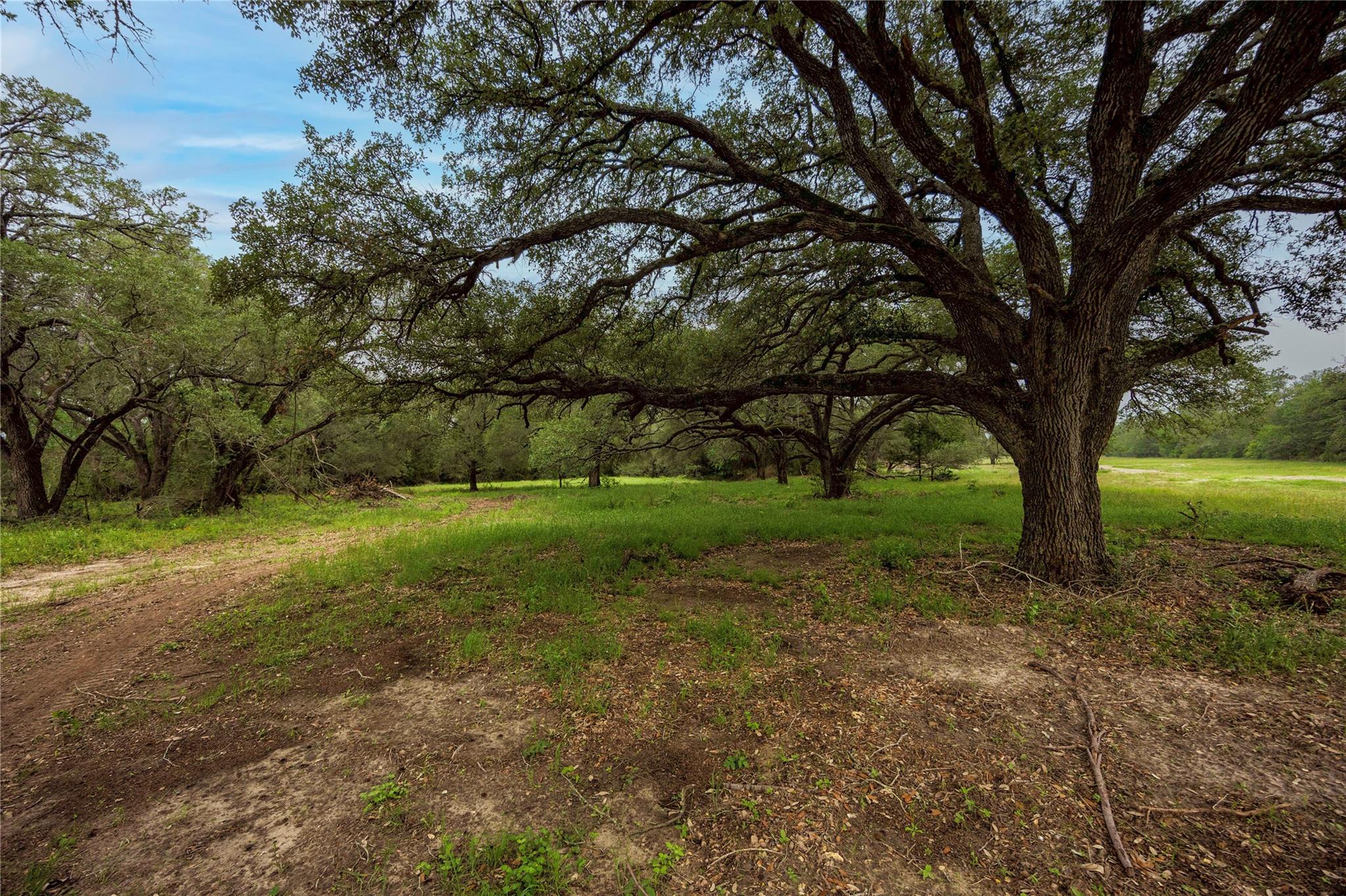 2570 Burke Road Flatonia TX 78941