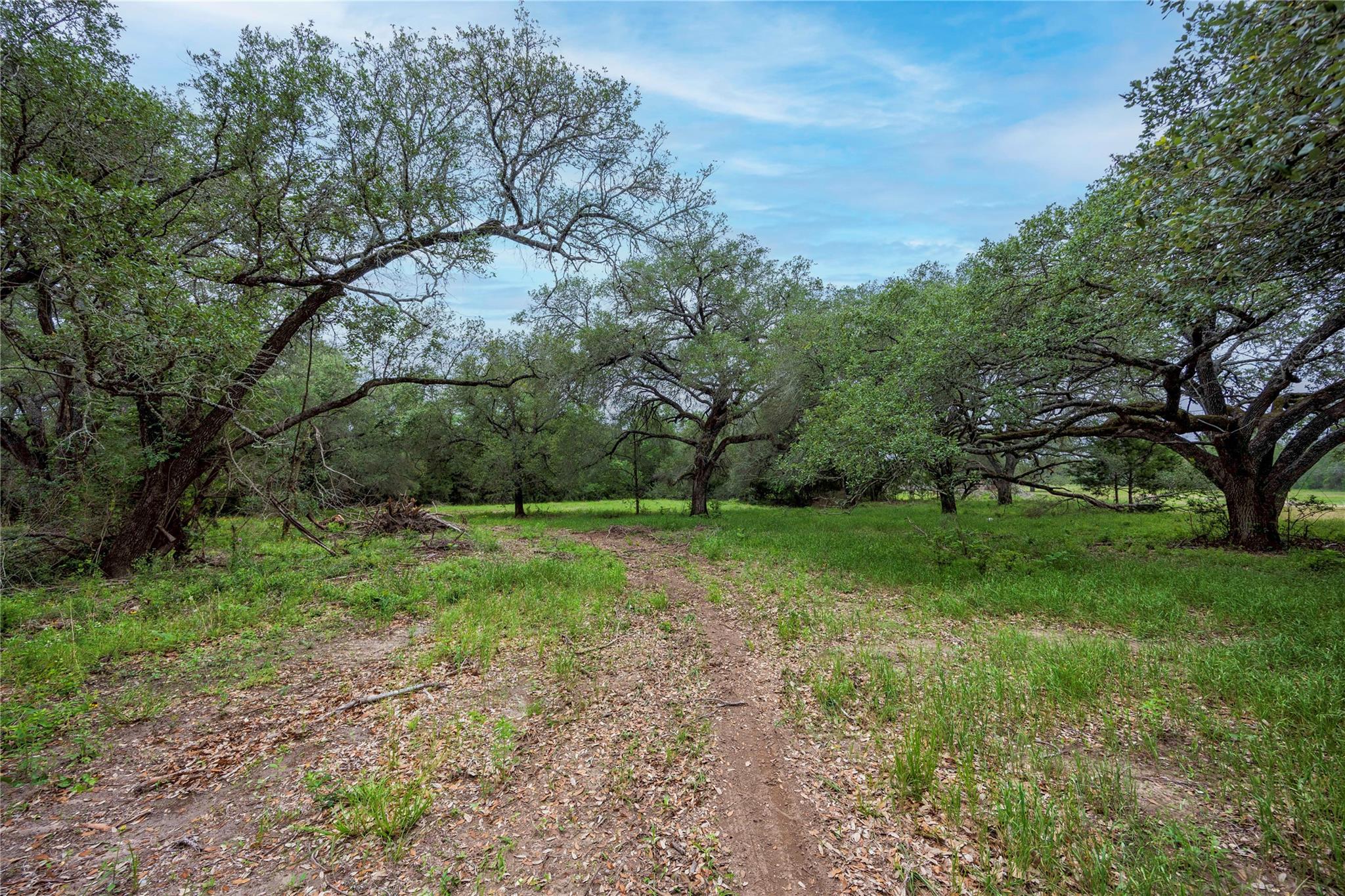 2570 Burke Road Flatonia TX 78941