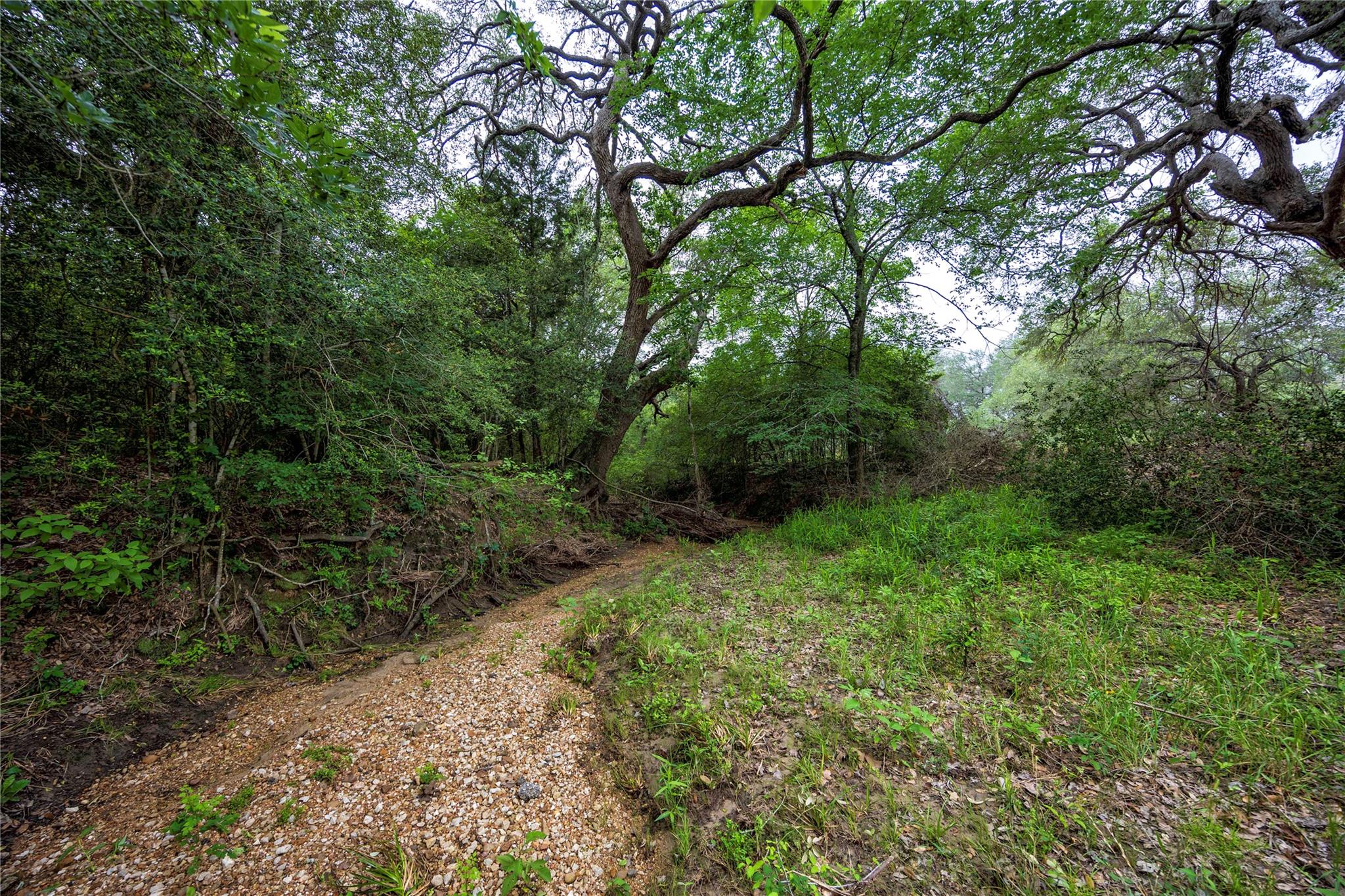 2570 Burke Road Flatonia TX 78941