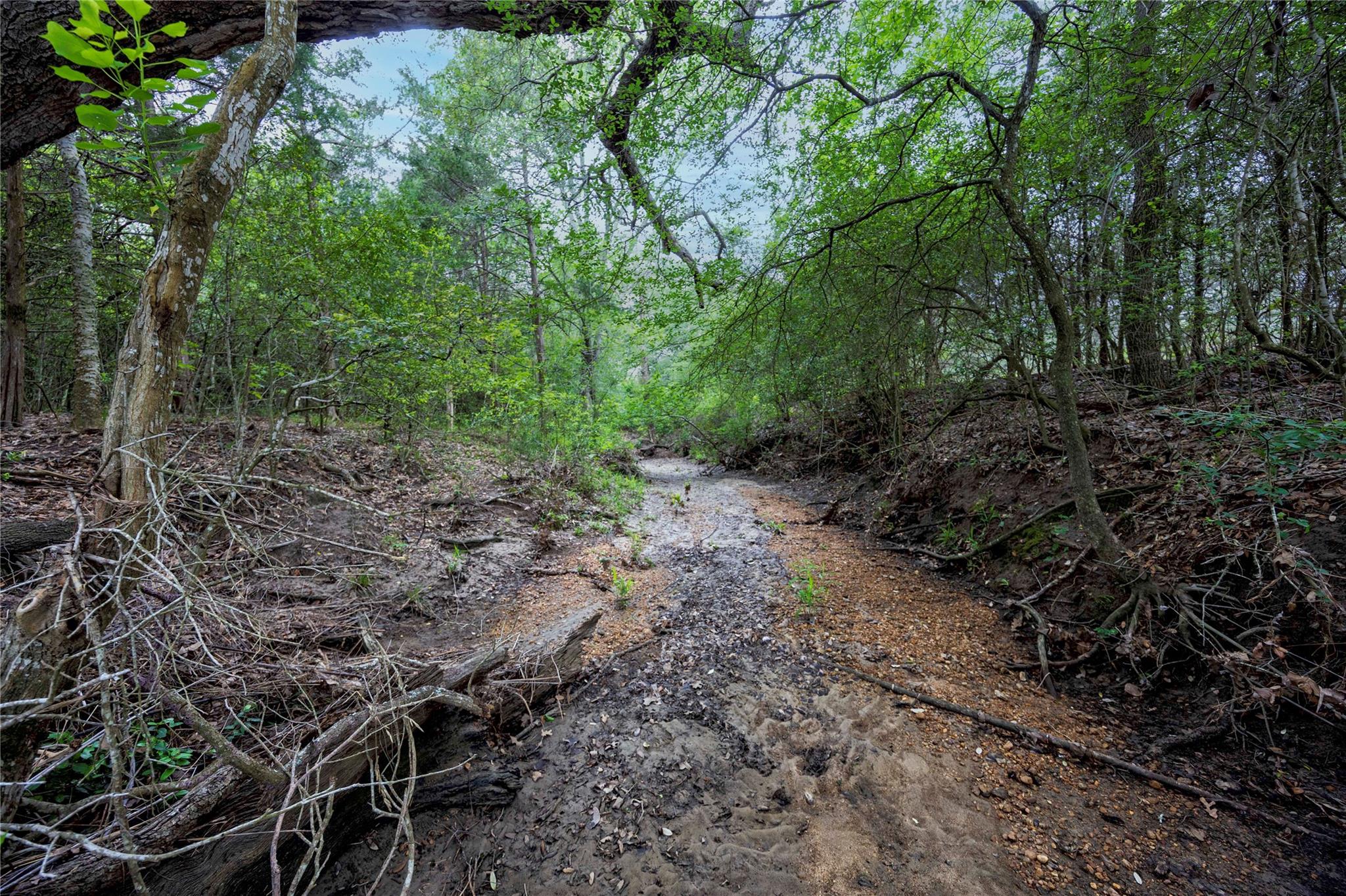 2570 Burke Road Flatonia TX 78941