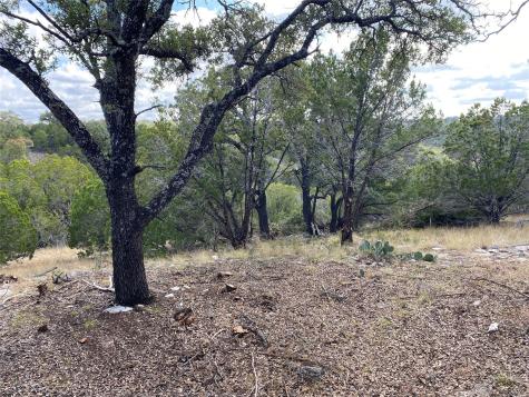 Lot 85, Seven Springs Spring Crossing Junction TX 76849