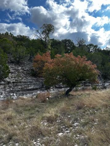 Lot 85, Seven Springs Spring Crossing Junction TX 76849