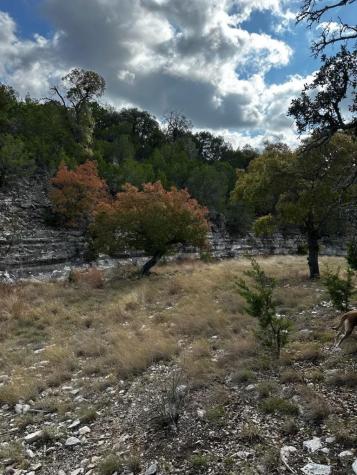 Lot 85, Seven Springs Spring Crossing Junction TX 76849
