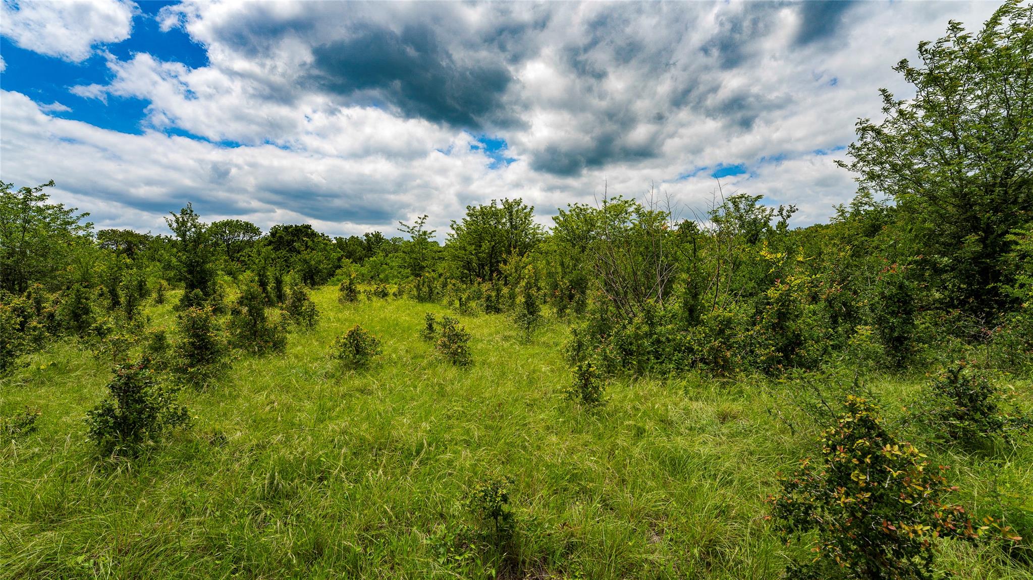 0000 Cr 413 Lexington TX 78947
