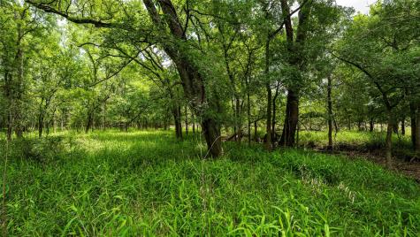 0000 Cr 413 Lexington TX 78947